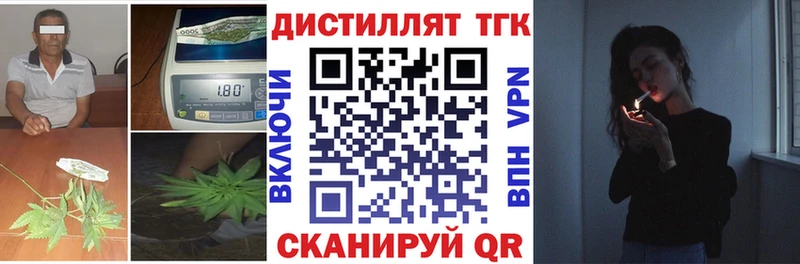 купить  цена  Калининец  ТГК концентрат 