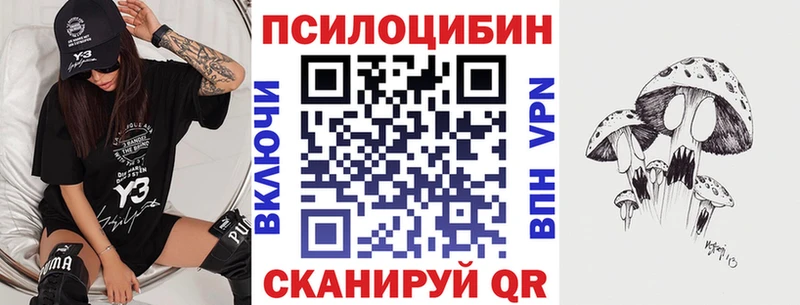Псилоцибиновые грибы Psilocybe  Калининец 